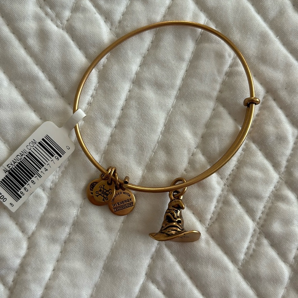 Alex and Ani x Harry Potter The Sorting Hat Charm Bracelet